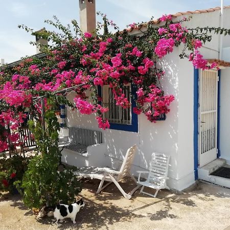 Finca la Joya Torreblanca Exterior foto